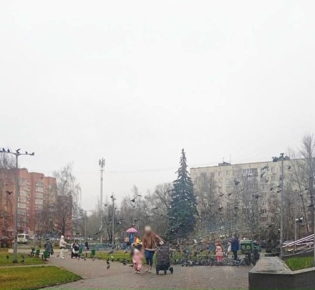 Жители Железнодорожного обращаются к родителям с прос...