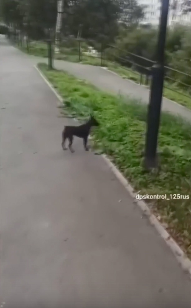 Хорошая замедленная сьемка получается!