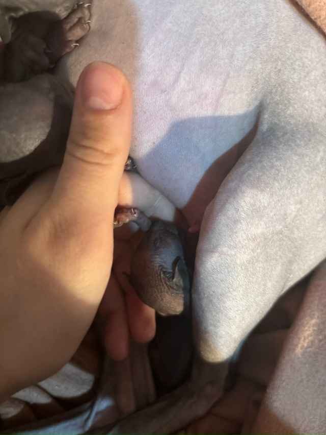 Растут детки наши❤️