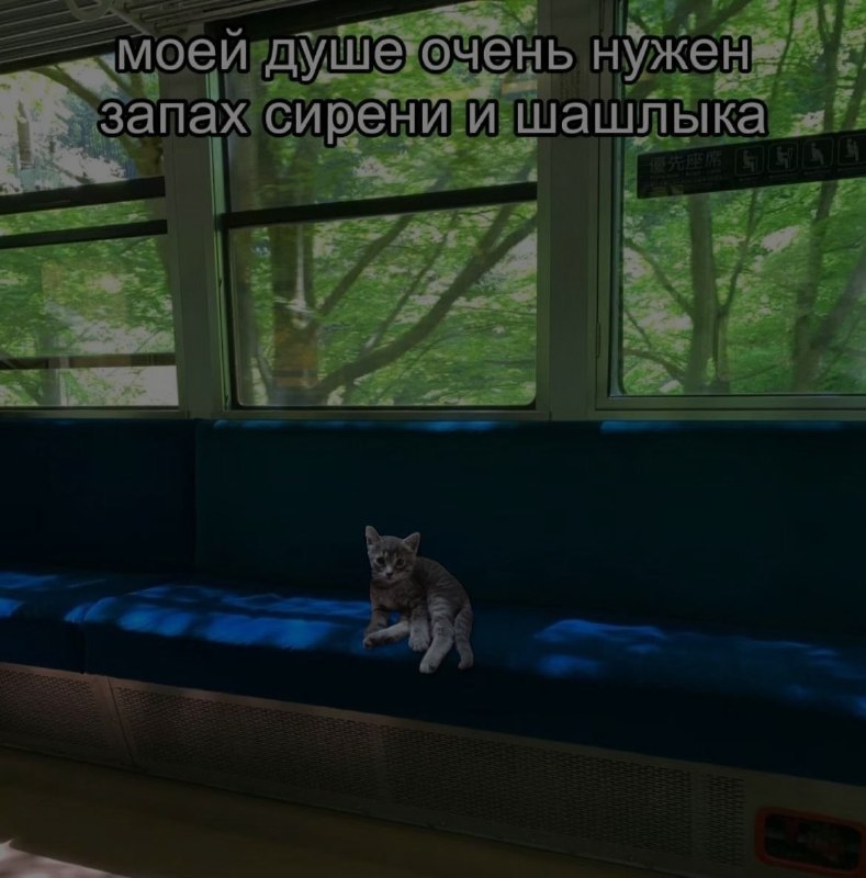 Ночная подборочка
Спать, режим