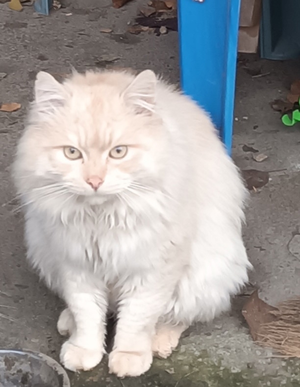 Марс ищет дом
Вашему вниманию предлагается этот брута?...