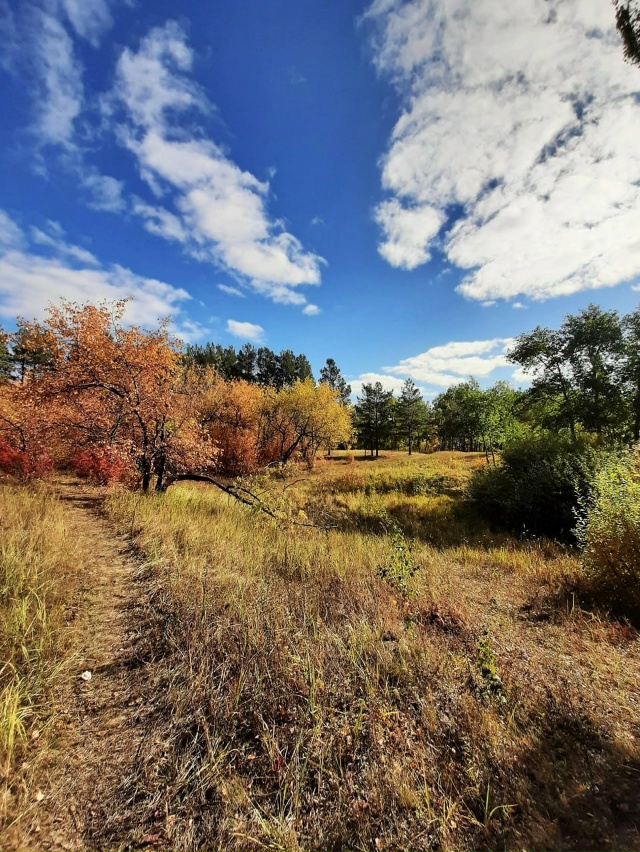??Улыбка осени. Успеваем наслаждаться! Лесопарк в че...