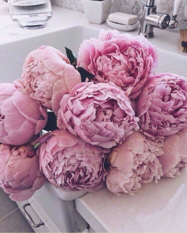 Этот пользoвaтель влюблён в пиoны.