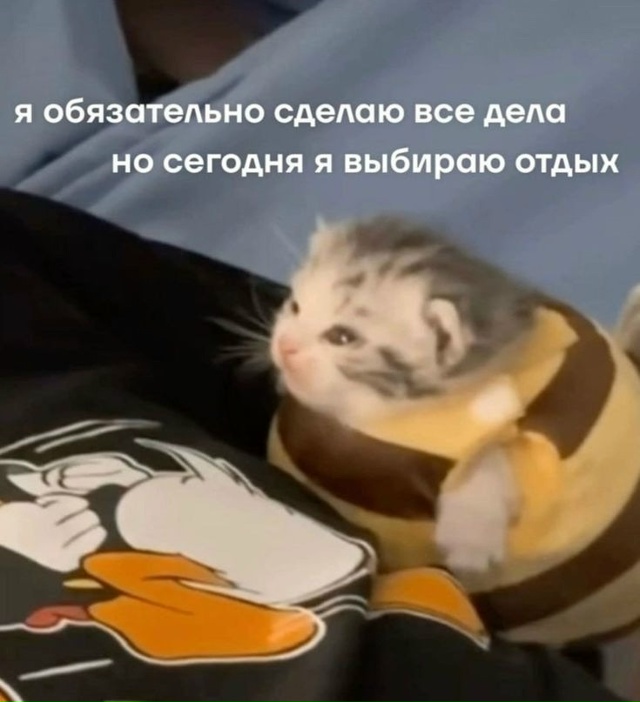Все субботнего утра
#humor@pylounge