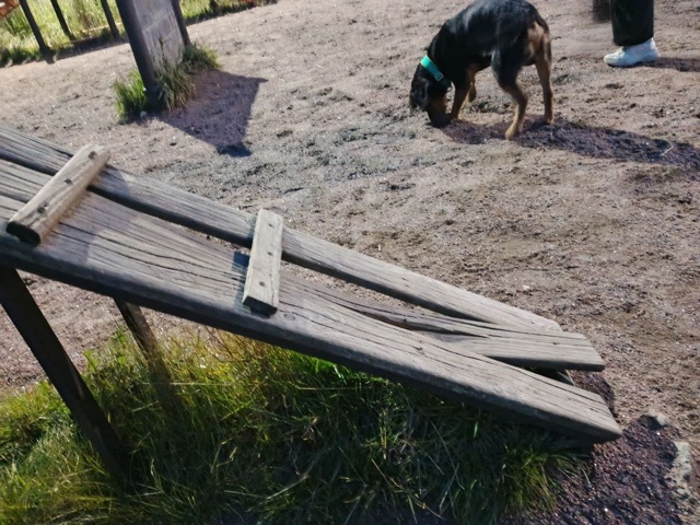 Анонимно пожалуйста.
Дорогие люди из администрации го?...