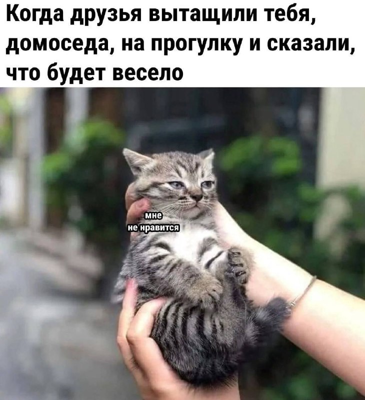 Утренняя подборочка