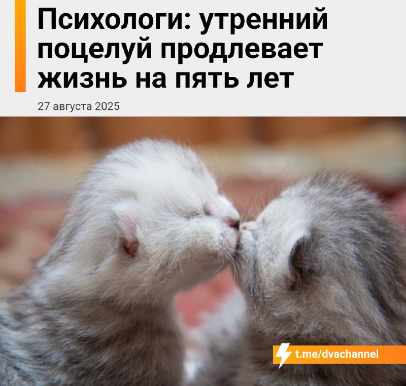 ‼️Утренний поцелуй продлевает жизнь на пять лет, рассказали психологи
Он не только укрепляет отноше