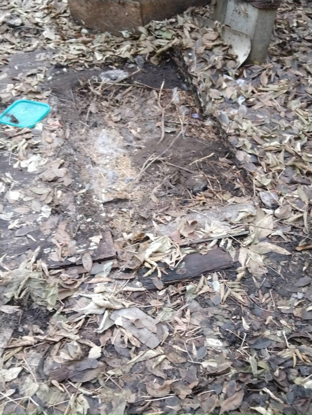 В ночь с 30.11 на 1.12 со двора Универмага украли будку. Люд?...