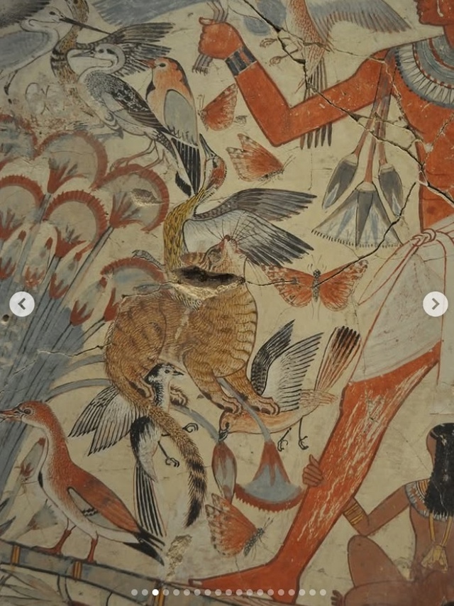 В Древнем Египте кошка была не просто домашним животны...