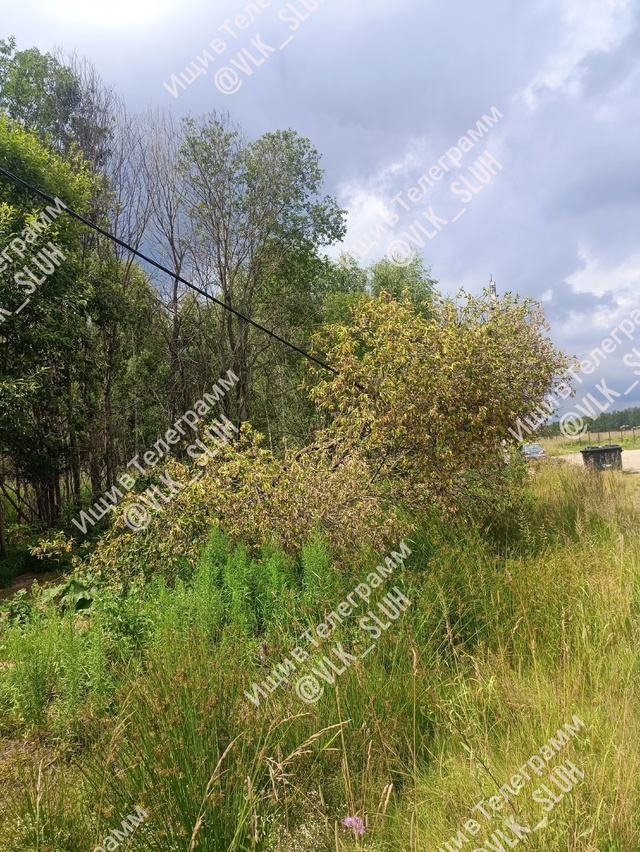 Уважаемая администрация Волоколамска! Примите меры, в ...