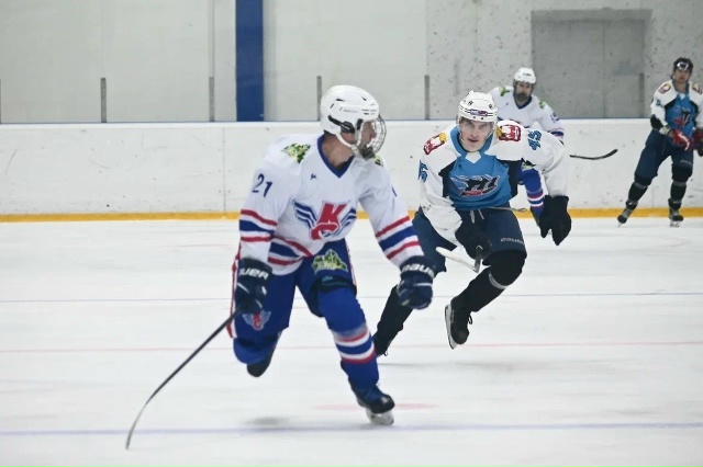 В матче SHL ХК 