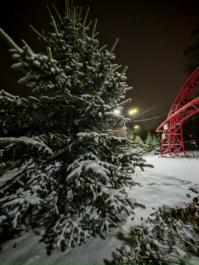 Зимний пapк Ηoвocибиpcкa ❄️