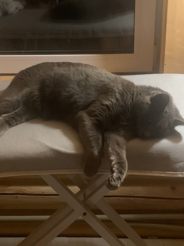 Балдежник 🥰