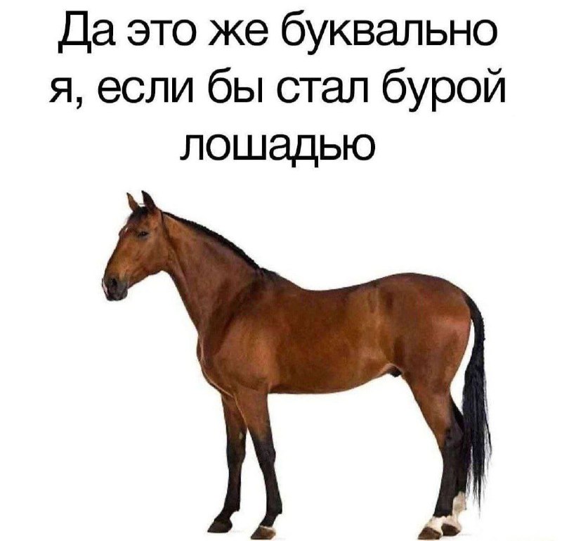 Утренняя подборочка