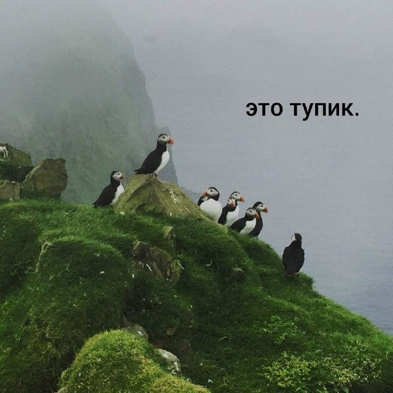 Ночная подборочка
Спать, режим