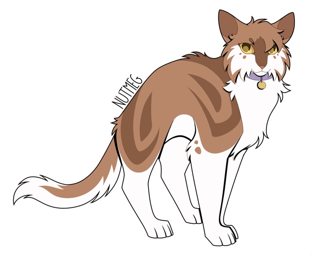 Мускатка
© skyperch
#KV_ZZ_ART