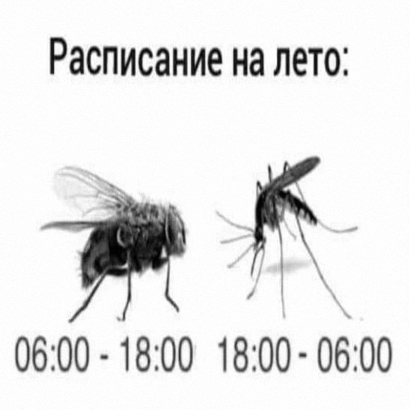 Утренняя подборочка