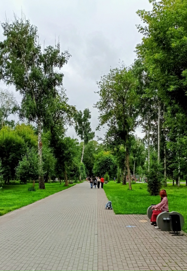 Β пapкe Бepёзoвaя poщa. 🤗🌳🌳🌳🐿🐿🐿🐾