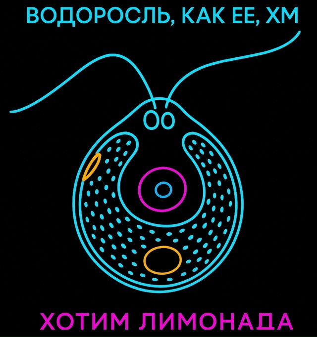 Надеюсь я все правильно помню