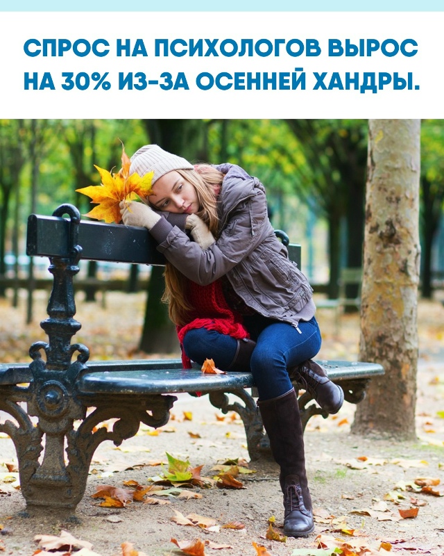 Осенью всё больше людей обращаются за помощью к специа...