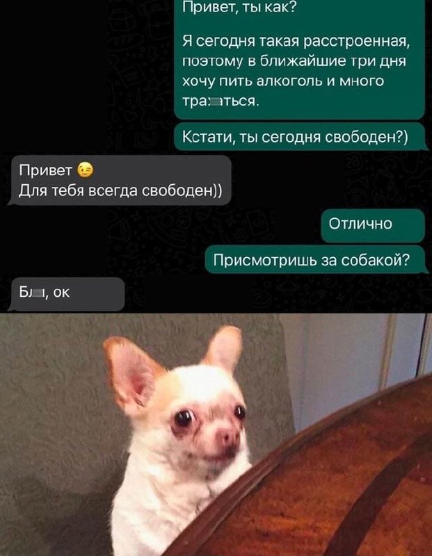Жаль, конечно, этого добряка