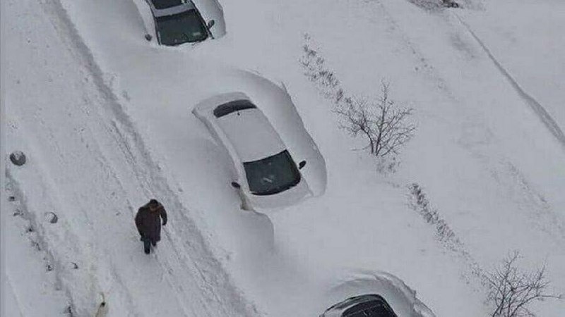 ❄️Очень сильный снегопад с метелью и ветром вновь обрушится на Москву и Подмосковье в четверг, — син