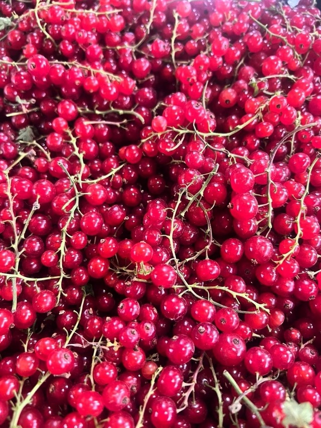 ⚠🍓⚠🍓⚠🍓⚠🍓⚠🍓 Ягодный фейерверк!!!!! Четверг-пятн?...