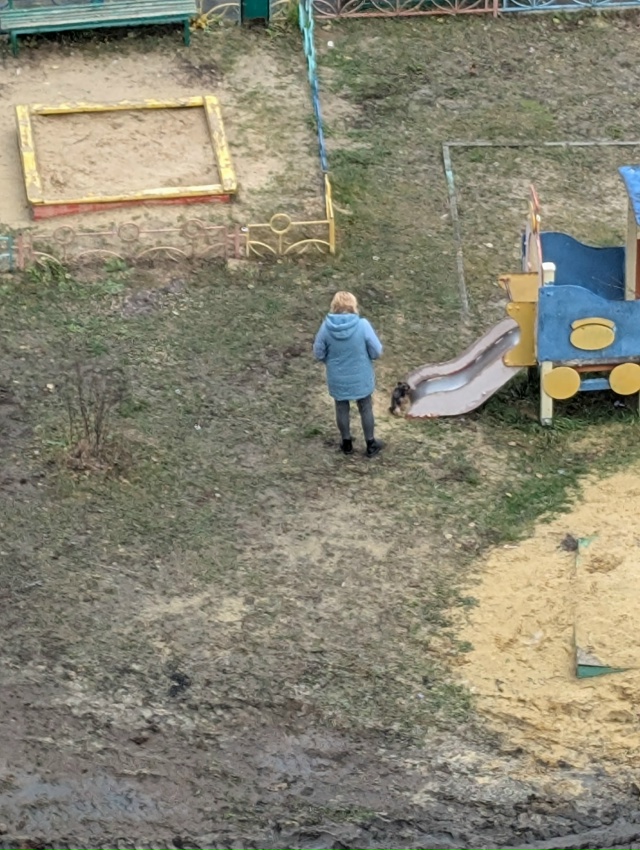 Собачница проживающая на центральном бульваре дом 7. П?...