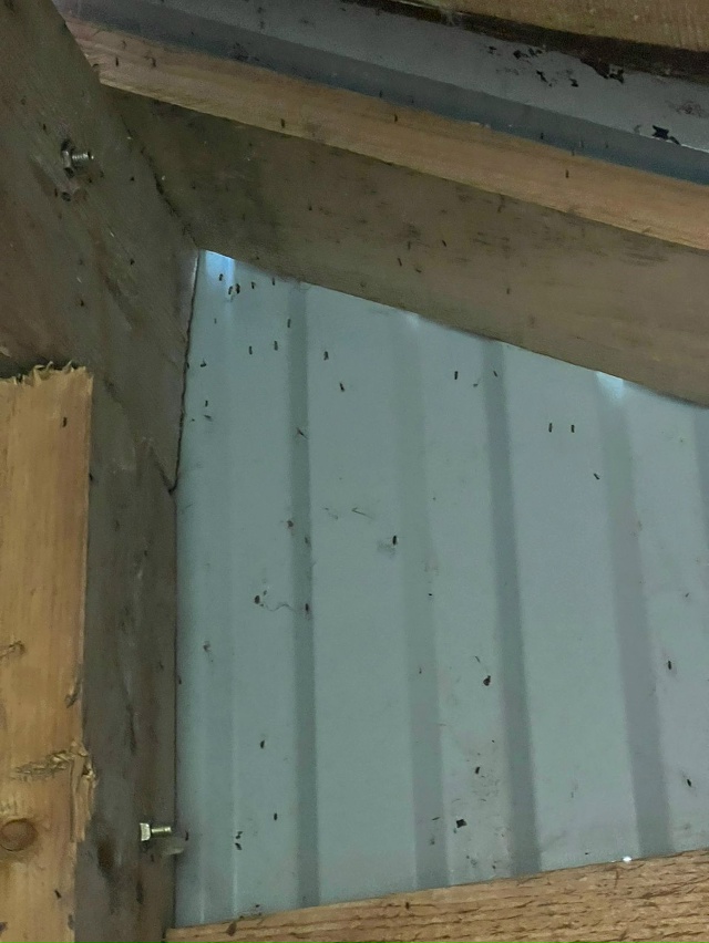 Добрый вечер, наверно многие из вас знают УК Б...... Д....., ?...