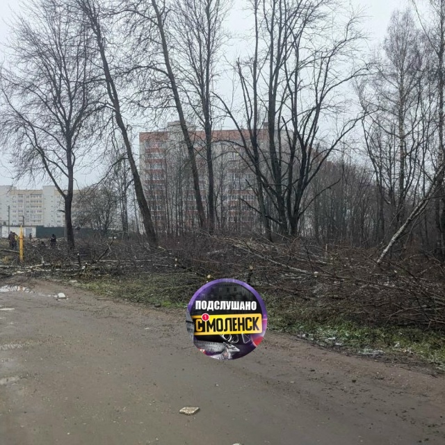 Началась вырубка деревьев в Реадовском парке. Наверно?...