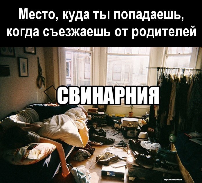 Бардак дома указывает на высокий интеллект и развитые когнитивные способности, доказали ученые
Хаос