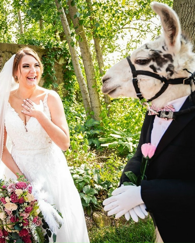 У этой пары на свадьбе в роли шафера выступила… их соб?...