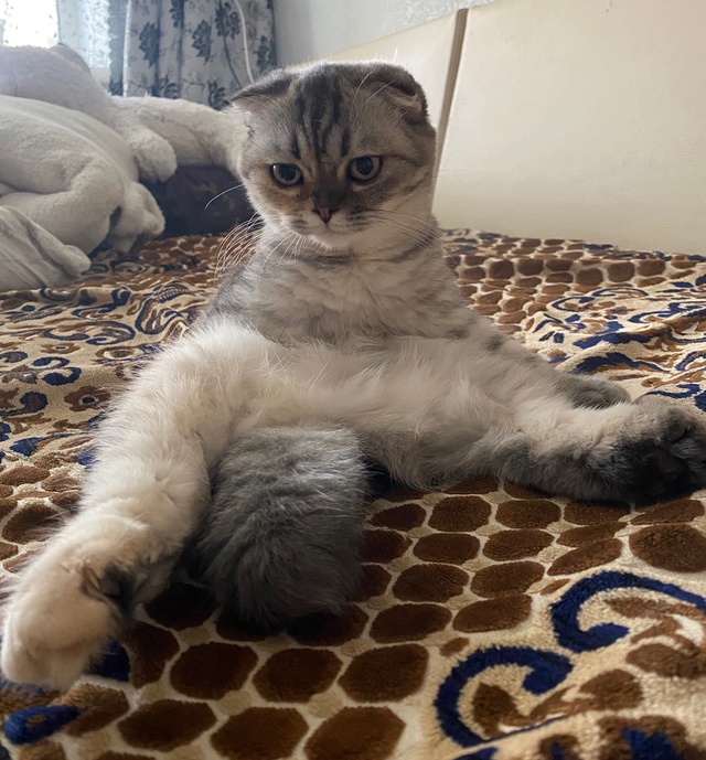 Посидеть подумать?
Помыться хорошо ?
И спать можно ...