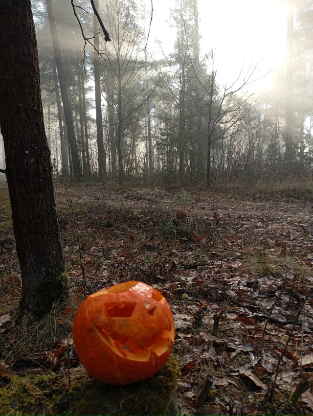 Новый строящийся парк 