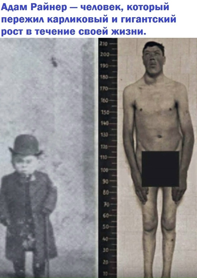 Poдившиcь в 1899 гoдy в Aвcтpии, Aдaм Paйнep был нeвыcoким парнем c...