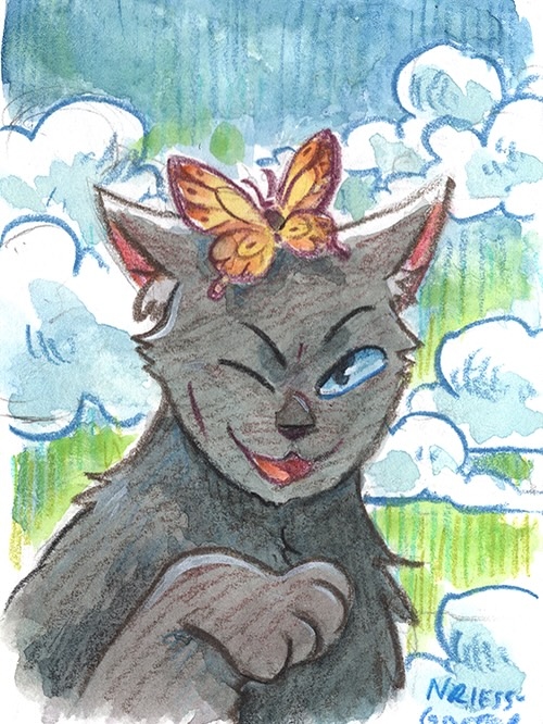 Натали Рисс:
Счастливая неделя выхода Warriors V3! Я уже вык?...