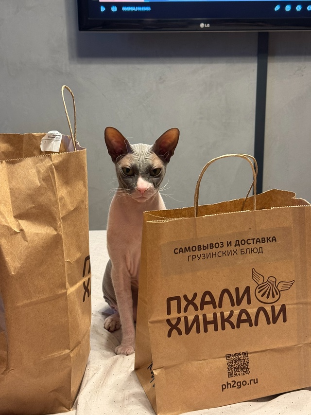 Всратый грузин 😂