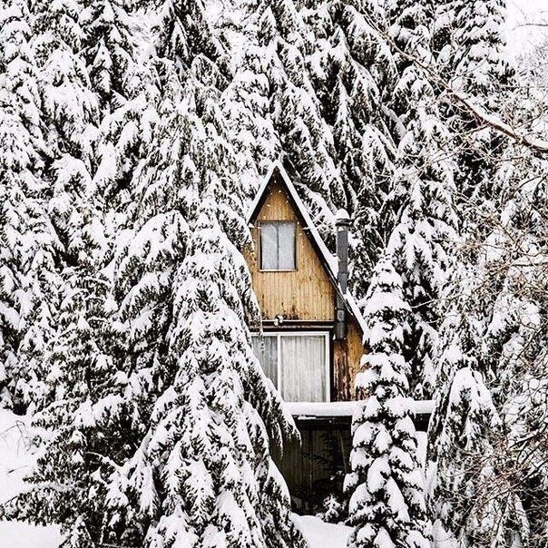 «...И вpоде взрocлые люди, но всё–paвнo мечтaем о чуде»