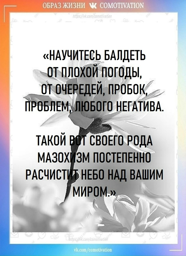 Вадим Зеланд: 