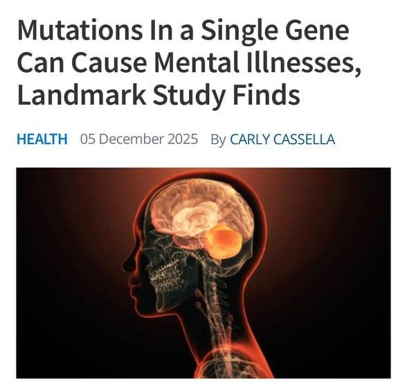 Учёные нашли ген психопатии.
Исследователи заявили, что мутация гена GRIN2A в редких случаях может