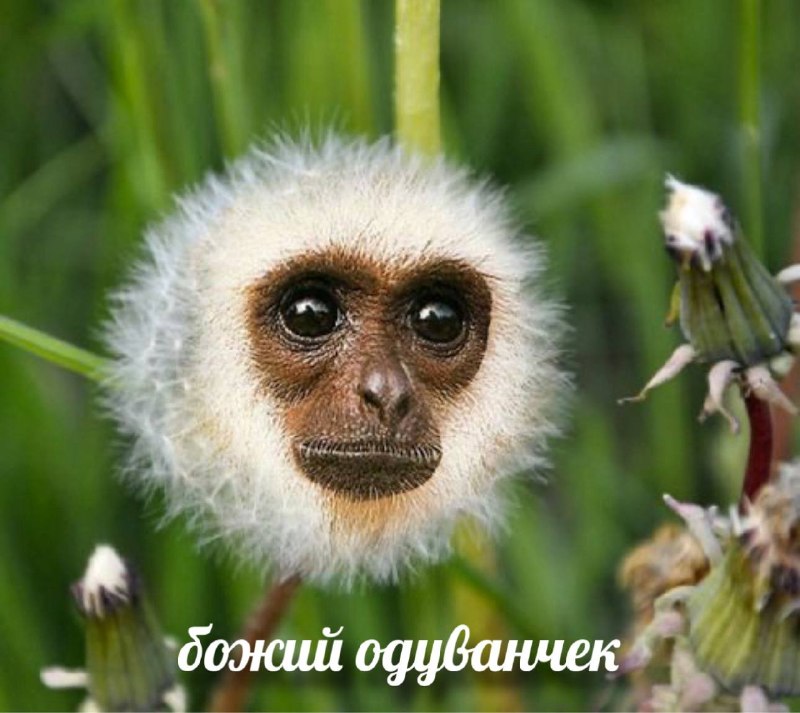 Как ощущает себя абсолютно любой мужик, когда изменил, а потом сказал, что это было по пьяне, но люб