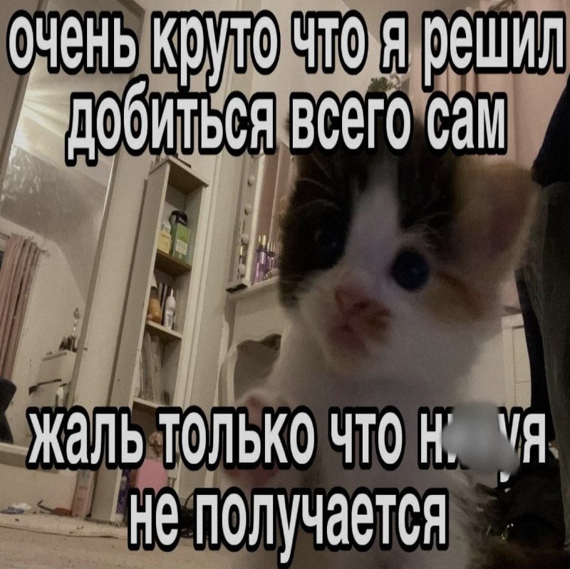 Ночная подборочка
Спать, режим