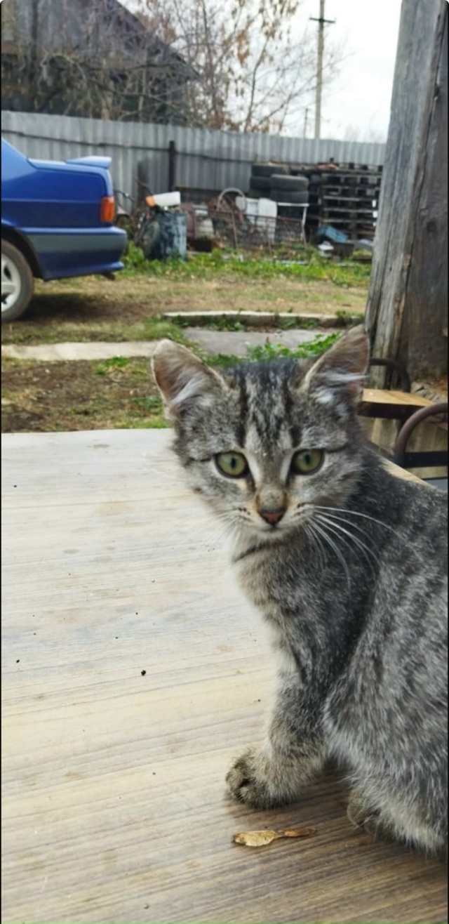 Мы сейчас живем с вами в какое то особое время,время ки?...