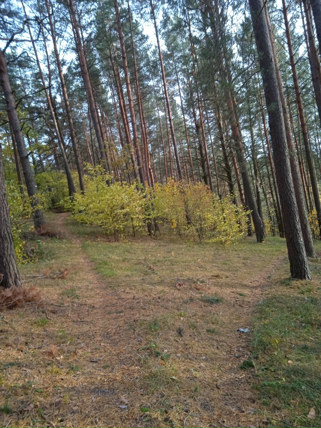 Доброй ночи, Никольск❤