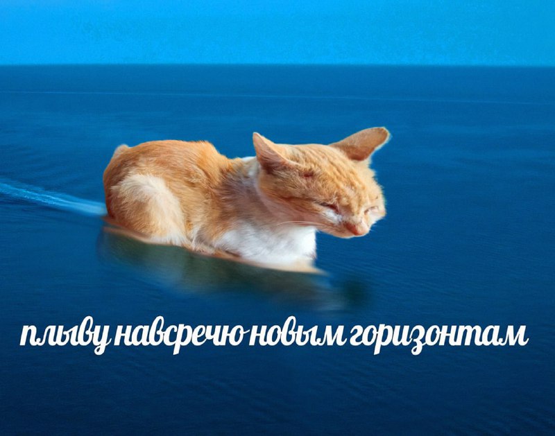 Утренняя подборочка