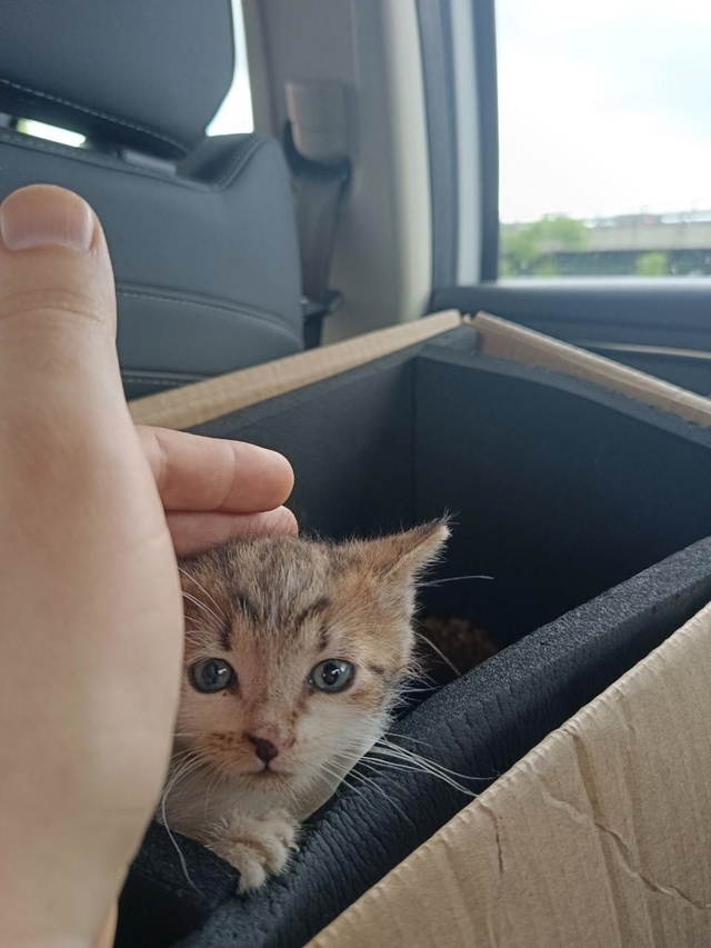 Видали, работяги? София уволилась с пыльной долбильни ?...