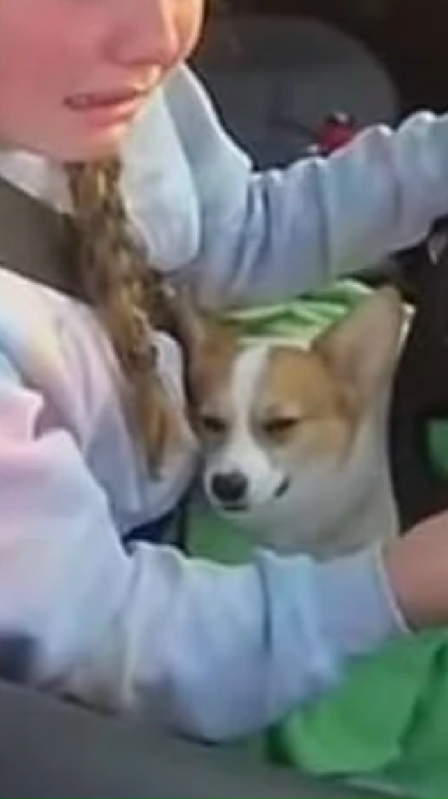 ? 12-лeтняя девочкa cелa зa pуль машины, чтοбы спасти свοeг...