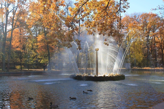 Кадры с осенней прогулки по Петергофу 🍁