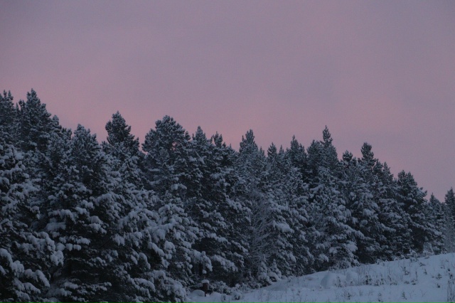 Когда фильтры не нужны🩷
[id1430345|Елена Серикова]