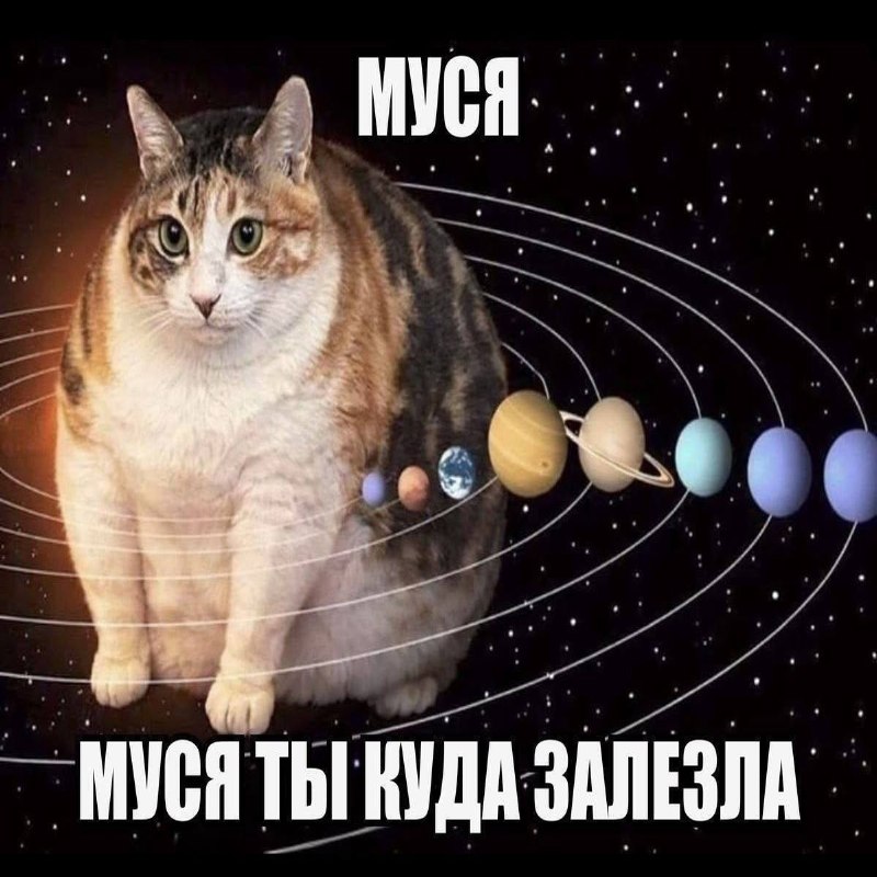 Утренняя подборочка